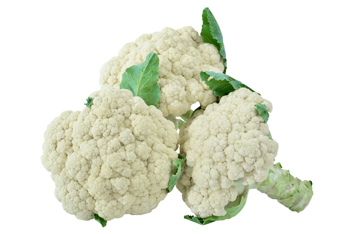 Summer Fancy F-2148(2)700